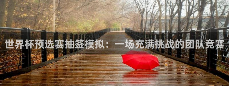 世界杯足球赛2026赛程时间:世界杯预选赛抽签模拟:一场充满挑战的团队竞赛