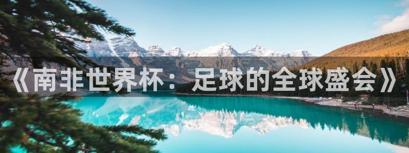 英格兰联赛杯直播:《南非世界杯:足球的全球盛会》
