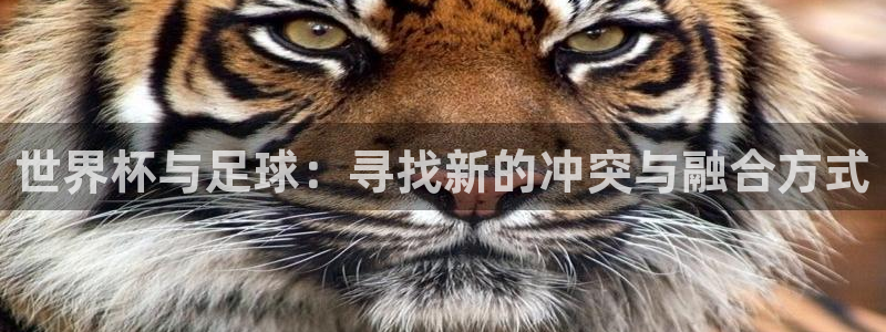 男足世界杯预选赛赛程:世界杯与足球:寻找新的冲突与融合方式