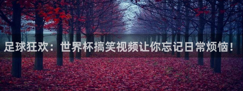 2026世界杯亚洲预选赛赛程:足球狂欢:世界杯搞笑视频让你忘记日常烦恼!