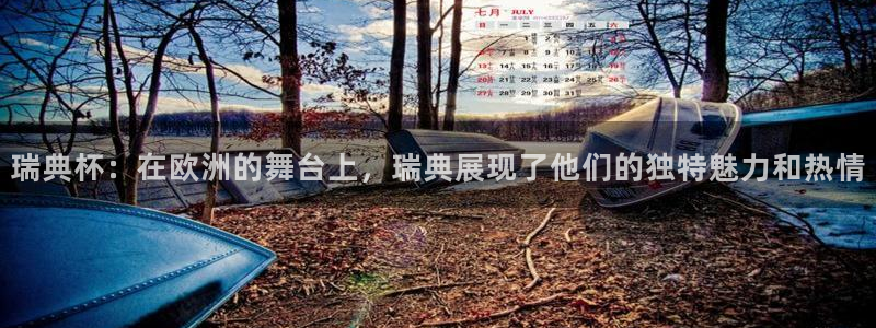 世界杯比赛:瑞典杯:在欧洲的舞台上,瑞典展现了他们的独特魅力和热情